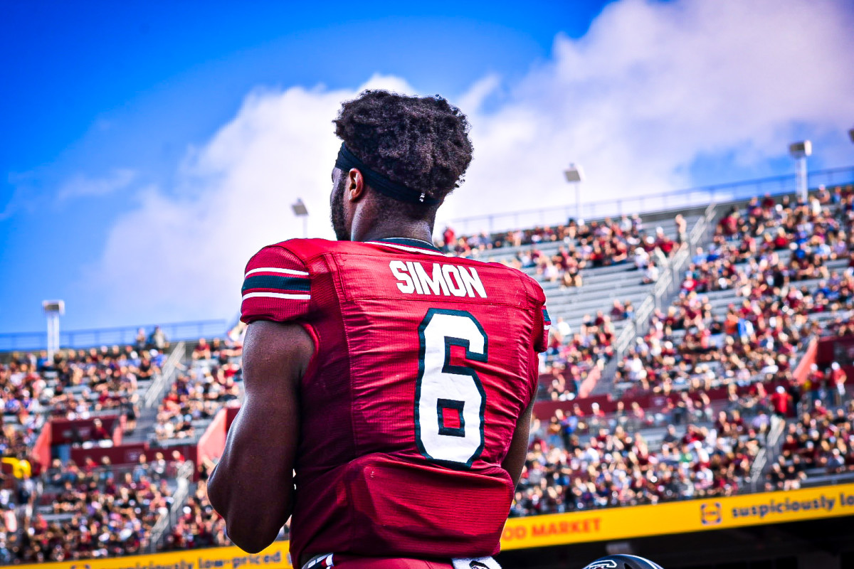TE #6 Joshua Simon